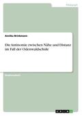 Brinkmann |  Die Antinomie zwischen Nähe und Distanz im Fall der Odenwaldschule | Buch |  Sack Fachmedien