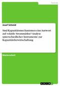 Schmid |  Sind Kapazitätsmechanismen eine Antwort auf volatile Strommärkte? Analyse unterschiedlicher Instrumente zur Kapazitätsbewirtschaftung | eBook | Sack Fachmedien