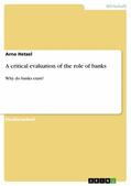 Hetzel |  A critical evaluation of the role of banks | eBook | Sack Fachmedien