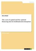 Hetzel |  The cost of capital and the optimal financing mix for multinational enterprises | Buch |  Sack Fachmedien