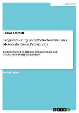 Schmidt |  Programmierung und Inbetriebnahme eines Motorkabelbaum Prüfstandes | Buch |  Sack Fachmedien