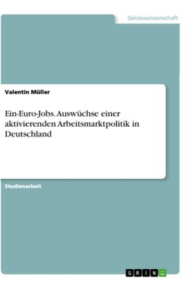 Müller |  Ein-Euro-Jobs. Auswüchse einer aktivierenden Arbeitsmarktpolitik in Deutschland | Buch |  Sack Fachmedien