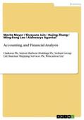 Meyer / Jain / Agarwal |  Accounting and Financial Analysis | Buch |  Sack Fachmedien