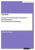 Müller |  Energie aus Wasserkraft. Eine kritische Betrachtung des Drei-Schluchten-Staudammes | eBook | Sack Fachmedien