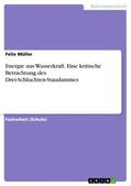 Müller |  Energie aus Wasserkraft. Eine kritische Betrachtung des Drei-Schluchten-Staudammes | Buch |  Sack Fachmedien