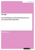 Hild |  Die Ermittlung von Bodenrichtwerten in der Innenstadt Karlsruhes | eBook | Sack Fachmedien