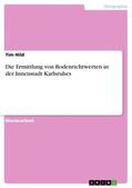 Hild |  Die Ermittlung von Bodenrichtwerten in der Innenstadt Karlsruhes | Buch |  Sack Fachmedien