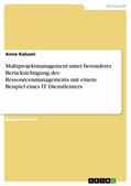 Kaluzni |  Multiprojektmanagement unter besonderer Berücksichtigung des Ressourcenmanagements mit einem Beispiel eines IT Dienstleisters | eBook | Sack Fachmedien