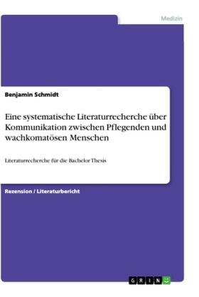 Schmidt |  Eine systematische Literaturrecherche über Kommunikation zwischen Pflegenden und wachkomatösen Menschen | Buch |  Sack Fachmedien