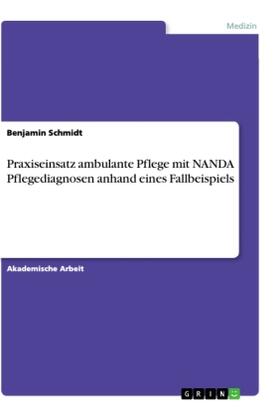 Schmidt | Praxiseinsatz ambulante Pflege mit NANDA Pflegediagnosen anhand eines Fallbeispiels | Buch | 978-3-668-91102-4 | sack.de