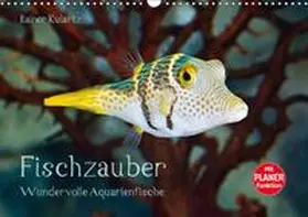 Kulartz |  Fischzauber - Wundervolle Aquarienfische (Wandkalender 2018 DIN A3 quer) | Sonstiges |  Sack Fachmedien
