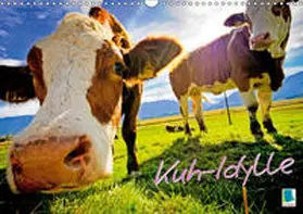 Calvendo / CALVENDO |  Kuh-Idylle (Wandkalender 2019 DIN A3 quer) | Sonstiges |  Sack Fachmedien
