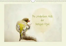 Hultsch |  Die sonderbare Welt der lustigen V?gel (Wandkalender 2019 DIN A4 quer) | Sonstiges |  Sack Fachmedien