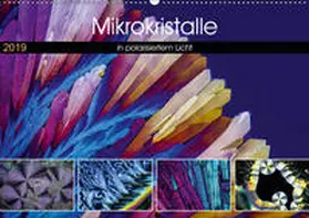 Becker |  Mikrokristalle in polarisiertem Licht (Wandkalender 2019 DIN A2 quer) | Sonstiges |  Sack Fachmedien