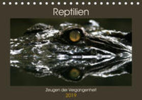 Herzog | Reptilien - Zeugen der Vergangenheit (Tischkalender 2019 DIN A5 quer) | Sonstiges | 978-3-669-42313-7 | sack.de