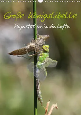 Brix - Studio Brix |  Gro?e K?nigslibelle (Wandkalender 2019 DIN A3 hoch) | Sonstiges |  Sack Fachmedien