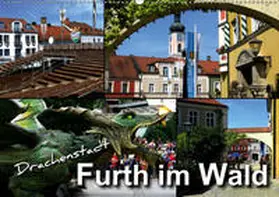 Bleicher |  Drachenstadt Furth im Wald (Wandkalender 2019 DIN A2 quer) | Sonstiges |  Sack Fachmedien