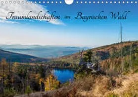 Stadler |  Traumlandschaften im Bayrischen Wald (Wandkalender 2019 DIN A4 quer) | Sonstiges |  Sack Fachmedien