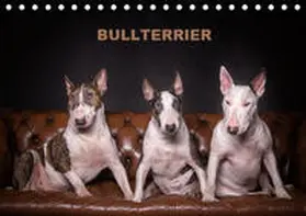 Schubert |  Bullterrier (Tischkalender 2019 DIN A5 quer) | Sonstiges |  Sack Fachmedien