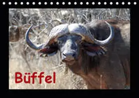 Ohm |  B?ffel (Tischkalender 2019 DIN A5 quer) | Sonstiges |  Sack Fachmedien