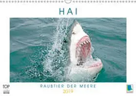 Calvendo / CALVENDO |  Hai: Raubtier der Meere (Wandkalender 2019 DIN A3 quer) | Sonstiges |  Sack Fachmedien
