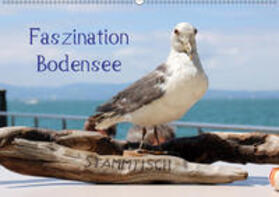 Raab | Faszination Bodensee (Wandkalender 2019 DIN A2 quer) | Sonstiges | 978-3-669-44924-3 | sack.de