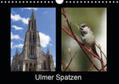 Kattobello |  Ulmer Spatzen (Wandkalender 2019 DIN A4 quer) | Sonstiges |  Sack Fachmedien
