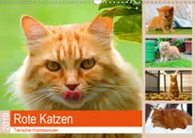 Lehmann (Hrsg.) |  Rote Katzen 2019. Tierische Impressionen (Wandkalender 2019 DIN A3 quer) | Sonstiges |  Sack Fachmedien