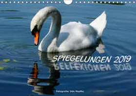 Haafke |  Spiegelungen - Reflexionen 2019 (Wandkalender 2019 DIN A4 quer) | Sonstiges |  Sack Fachmedien