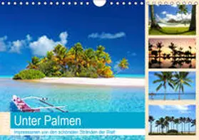 Lehmann (Hrsg.) |  Unter Palmen 2019. Impressionen von den sch?nsten Str?nden der Welt (Wandkalender 2019 DIN A4 quer) | Sonstiges |  Sack Fachmedien