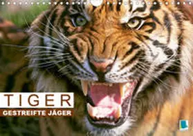 Calvendo / CALVENDO |  Katzen-Leben: Lustiger Haustiger (Wandkalender 2019 DIN A3 quer) | Sonstiges |  Sack Fachmedien
