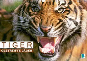 Calvendo / CALVENDO | Katzen-Leben: Lustiger Haustiger (Wandkalender 2019 DIN A2 quer) | Sonstiges | 978-3-669-45748-4 | www.sack.de