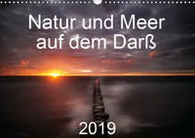 Aigner |  Natur und Meer auf dem Darß (Wandkalender 2019 DIN A3 quer) | Sonstiges |  Sack Fachmedien