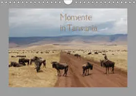Falk |  Momente in Tansania (Wandkalender 2019 DIN A4 quer) | Sonstiges |  Sack Fachmedien