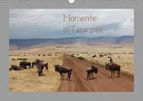 Falk | Momente in Tansania (Wandkalender 2019 DIN A3 quer) | Sonstiges | 978-3-669-46309-6 | www.sack.de