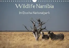 Müller | Wildlife Namibia (Wandkalender 2019 DIN A4 quer) | Sonstiges | 978-3-669-46688-2 | sack.de