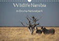 Müller |  Wildlife Namibia (Wandkalender 2019 DIN A4 quer) | Sonstiges |  Sack Fachmedien