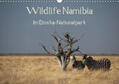 Müller |  Wildlife Namibia (Wandkalender 2019 DIN A3 quer) | Sonstiges |  Sack Fachmedien
