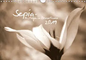 Tinadefortunata / tinadefortunata |  Sepia - Nostalgie in Brauntönen (Wandkalender 2019 DIN A4 quer) | Sonstiges |  Sack Fachmedien