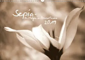 Tinadefortunata / tinadefortunata |  Sepia - Nostalgie in Brauntönen (Wandkalender 2019 DIN A3 quer) | Sonstiges |  Sack Fachmedien