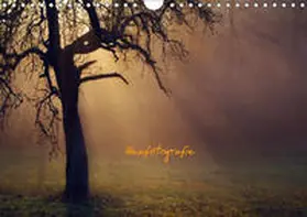 Kunze |  Zenfotografie (Wandkalender 2019 DIN A4 quer) | Sonstiges |  Sack Fachmedien