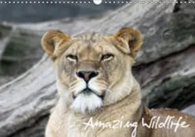Hebbel-Seeger |  Amazing Wildlife (Wandkalender 2019 DIN A3 quer) | Sonstiges |  Sack Fachmedien