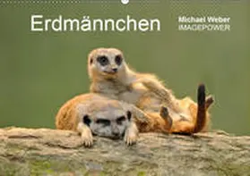 Weber |  Erdmännchen - Tierkinder (Wandkalender 2019 DIN A2 quer) | Sonstiges |  Sack Fachmedien