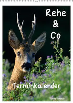 Schmidt |  Rehe & Co / Planer (Wandkalender 2019 DIN A2 hoch) | Sonstiges |  Sack Fachmedien