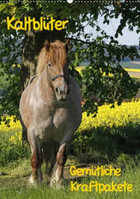 Lindert-Rottke | Kaltblüter (Wandkalender 2019 DIN A2 hoch) | Sonstiges | 978-3-669-47311-8 | www.sack.de