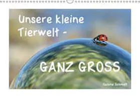 Schmidt |  Unsere kleine Tierwelt - GANZ GROSS (Wandkalender 2019 DIN A3 quer) | Sonstiges |  Sack Fachmedien