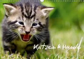 Lehmann | Katzen & Hunde (Wandkalender 2019 DIN A3 quer) | Sonstiges | 978-3-669-47767-3 | www.sack.de