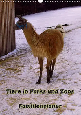 Schneller |  Tiere in Parks und Zoos - Familienplaner (Wandkalender 2019 DIN A3 hoch) | Sonstiges |  Sack Fachmedien