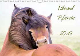 Gimpel | Islandpferde (Wandkalender 2019 DIN A4 quer) | Sonstiges | 978-3-669-47856-4 | www.sack.de