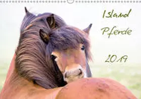 Gimpel |  Islandpferde (Wandkalender 2019 DIN A3 quer) | Sonstiges |  Sack Fachmedien